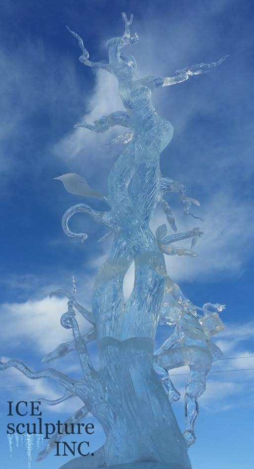 "Cool Beans" daytime 2016