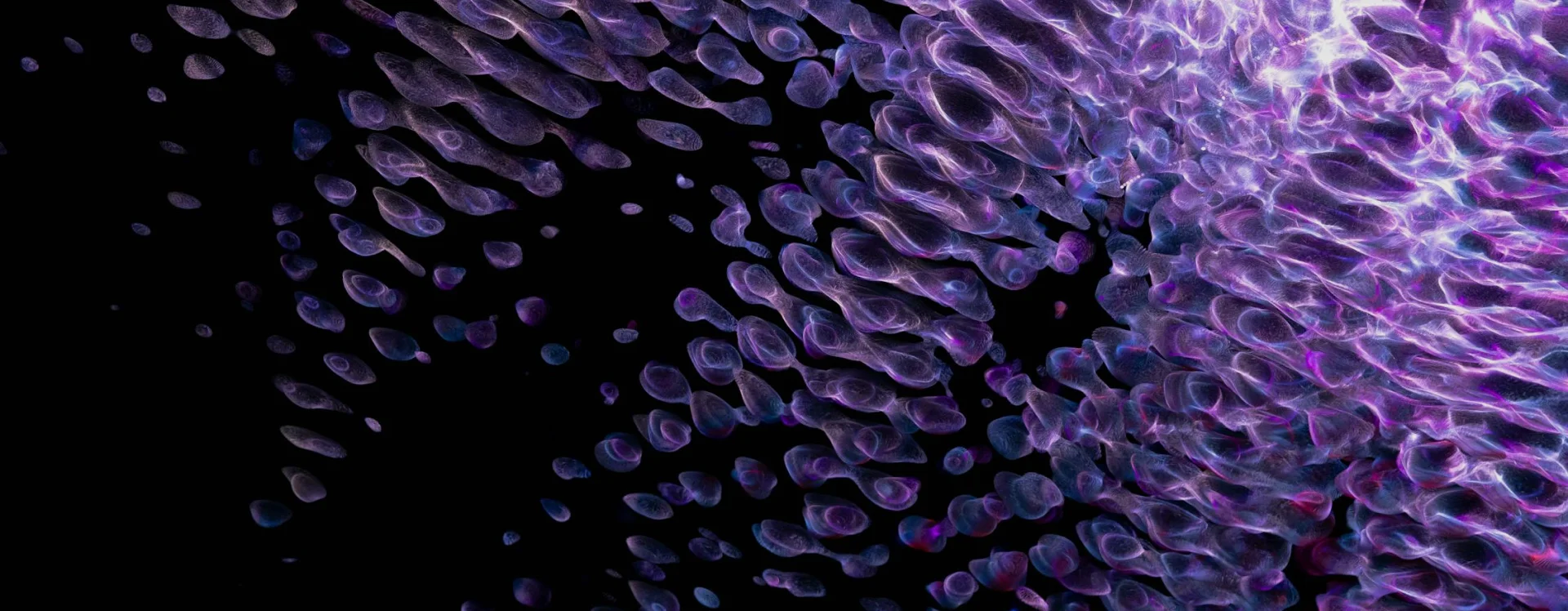 Abstract digital art with glowing purple and blue translucent shapes on a black background.