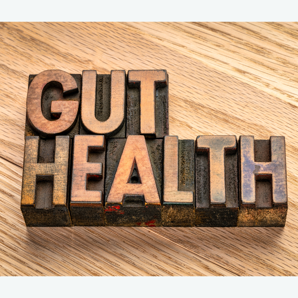 Gut health is key for overall brain health.