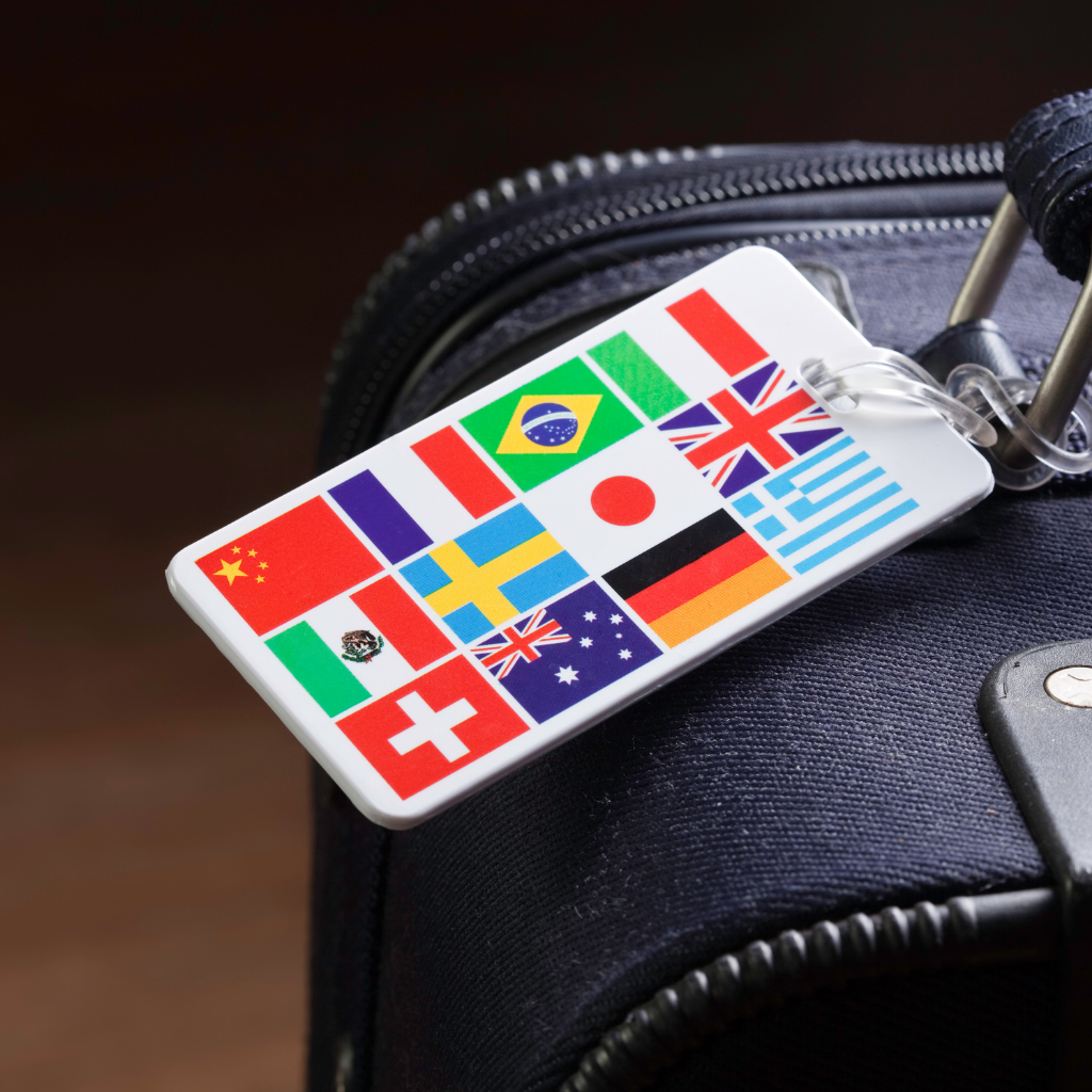 International travel luggage representation