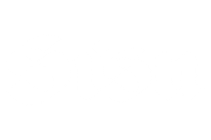 The word 'Sisu' written in an ornate blackletter typeface with white color on a transparent background.