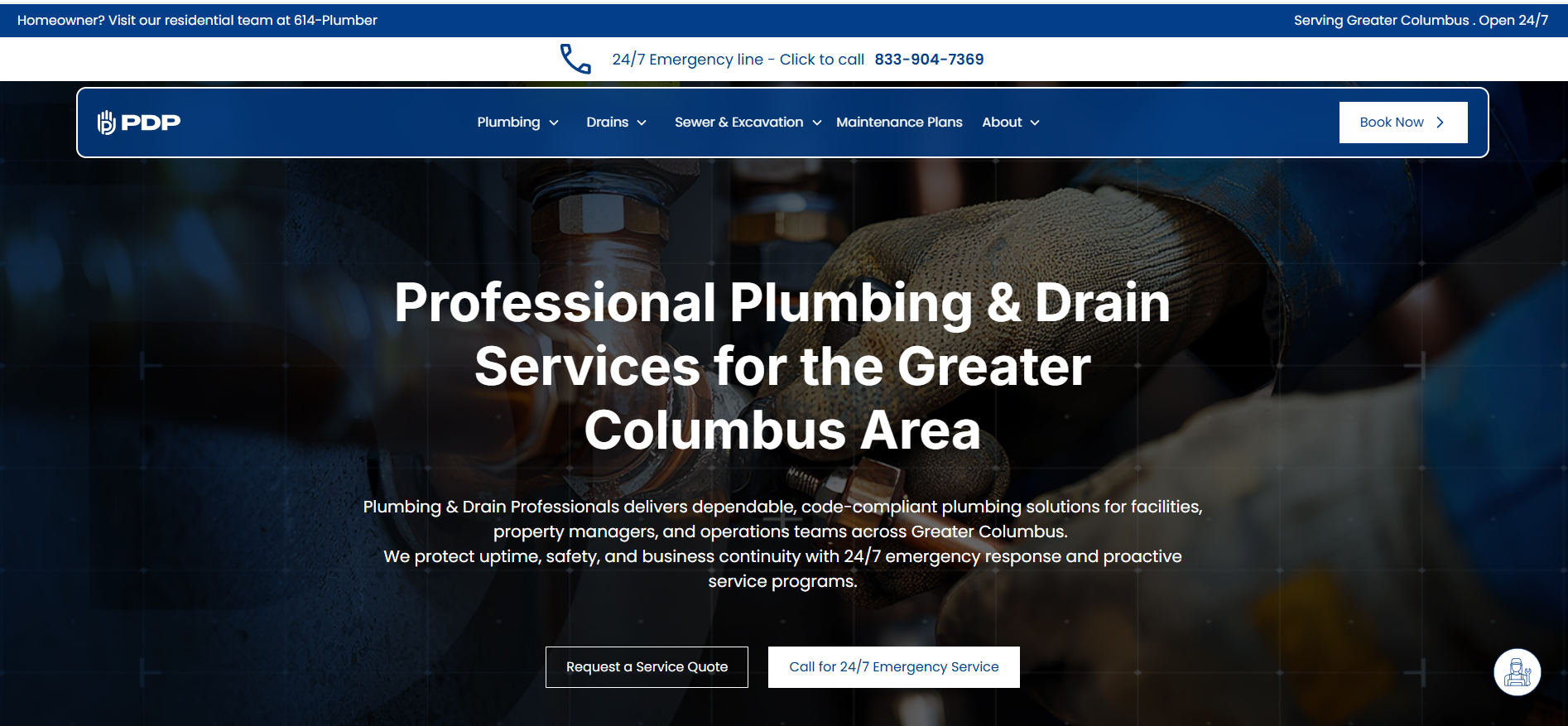 Plumbing and Drain Professionals website design