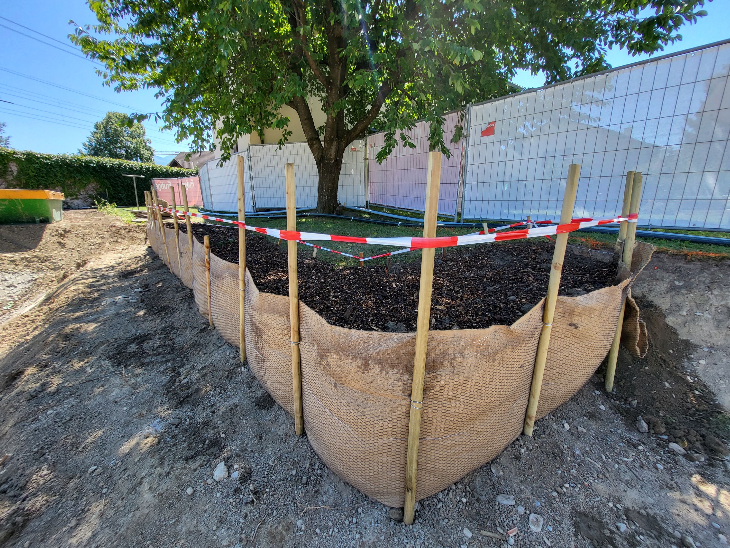 Baumschutz auf einer Baustelle in Spiez, Henzelmann Baumpflege sichert Bäume vor Schäden während Bauarbeiten.