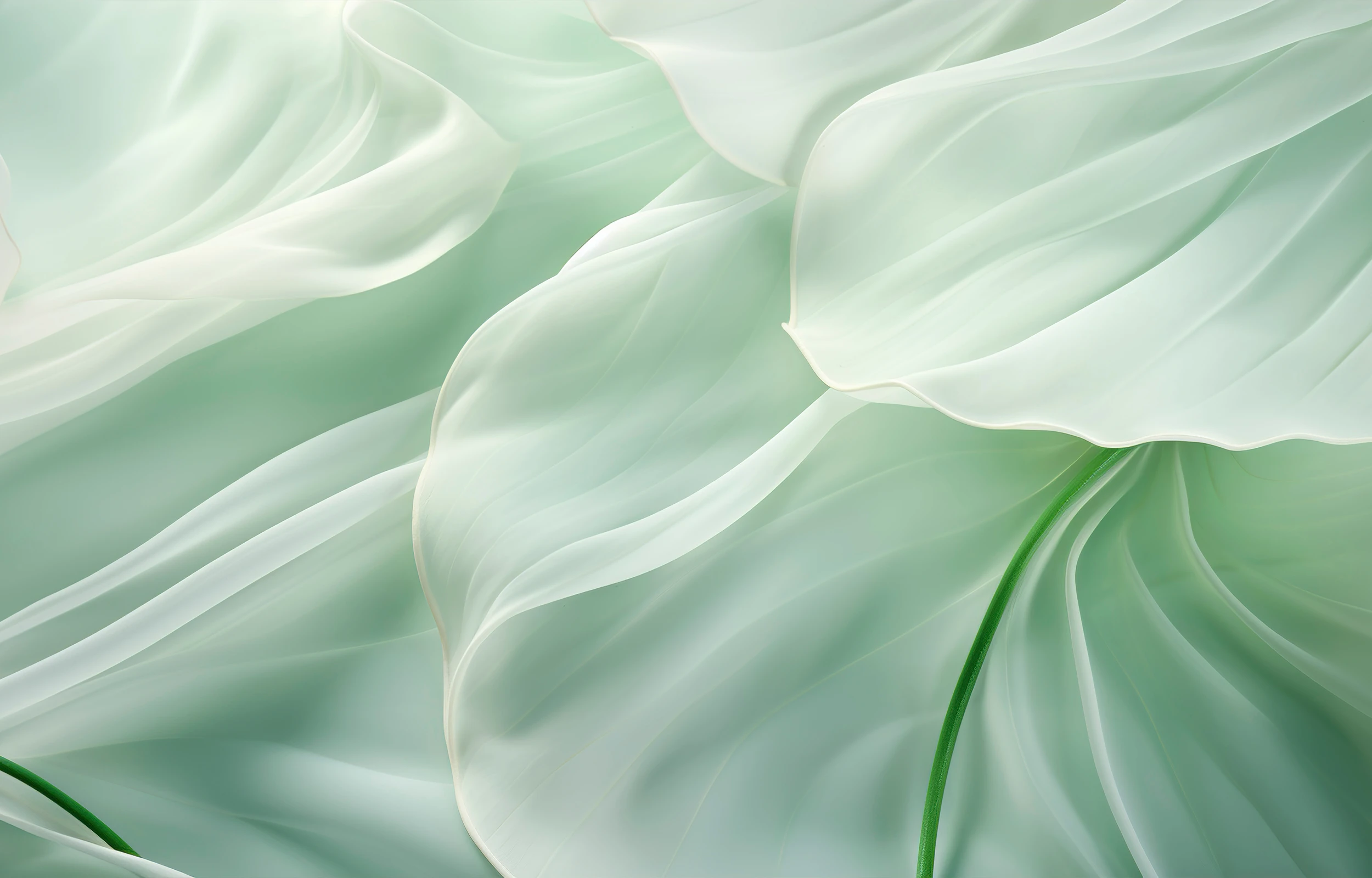 Close-up of delicate, translucent pale green leaves with visible veins and smooth curves.