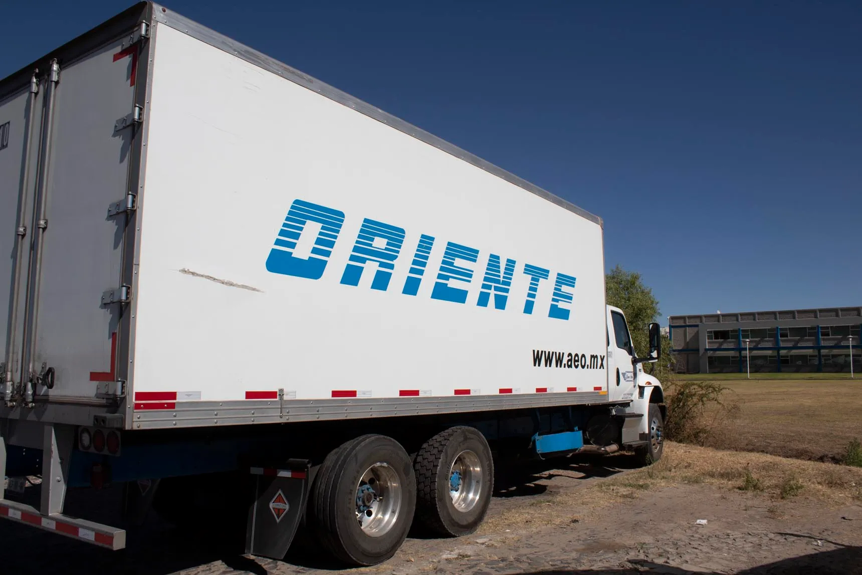 A glass of yellow drink on a wooden table with a black menu beside it. Soft sunlight filters through sheer curtains, creating long shadows on the surface.