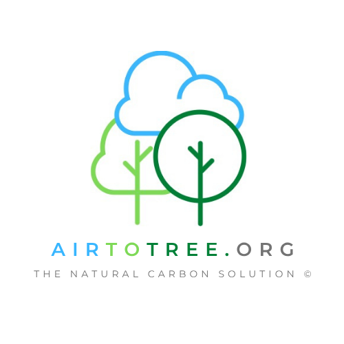OE logo