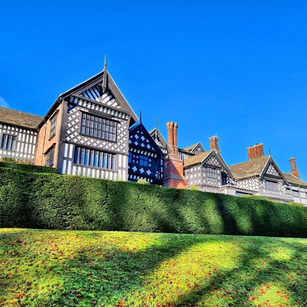 restore space with tree stump removal bramhall