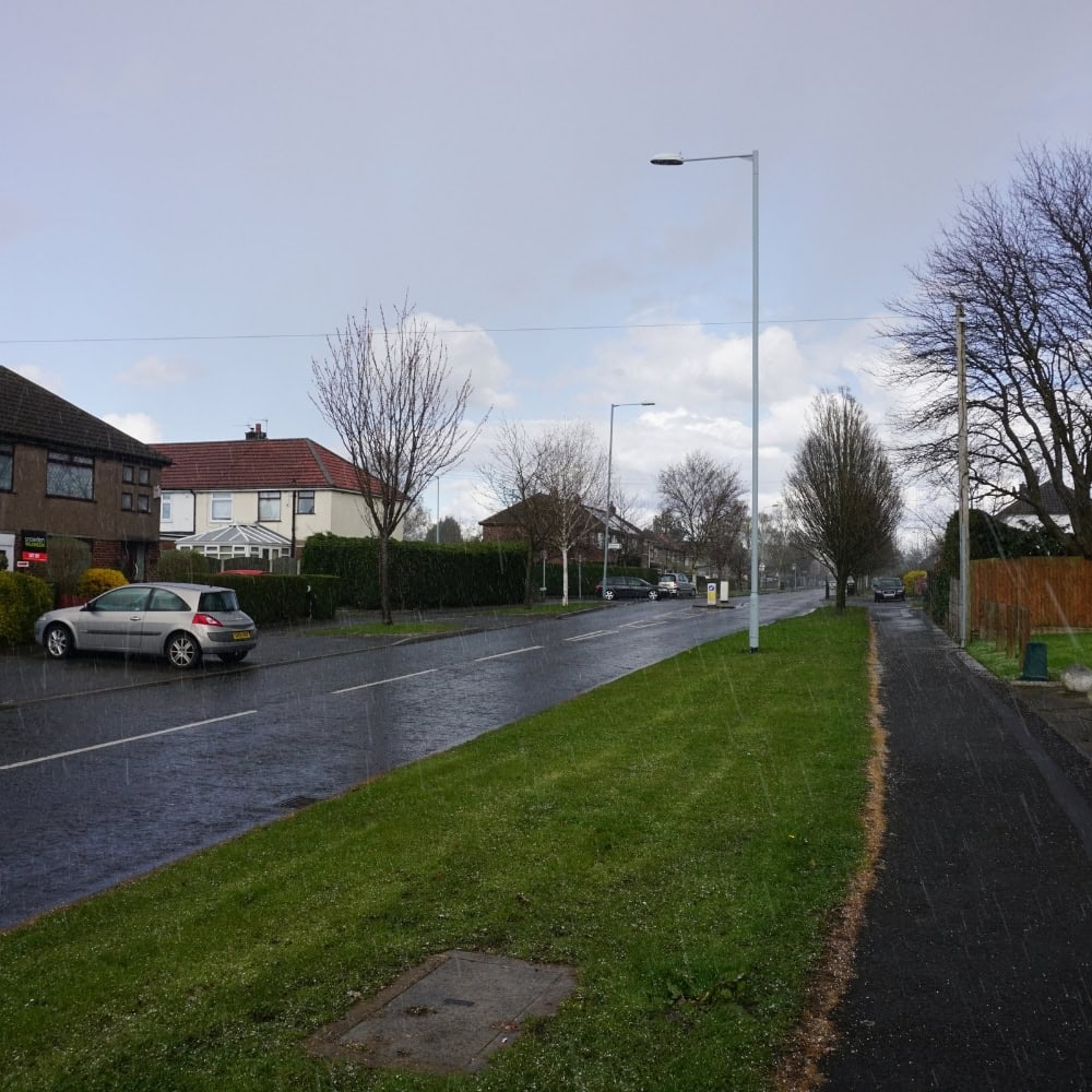 tree stump removal cheadle hulme for modern gardens