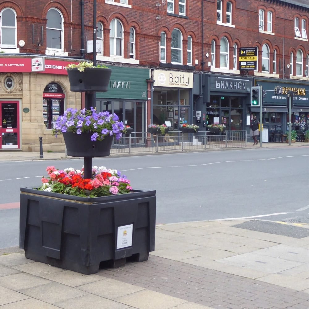 enhance your garden with tree stump removal didsbury