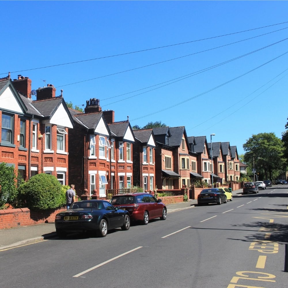 tree stump removal chorlton for nature-friendly gardens