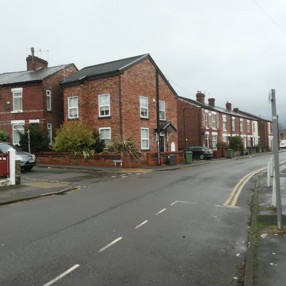 improve your garden with tree stump removal hazel grove