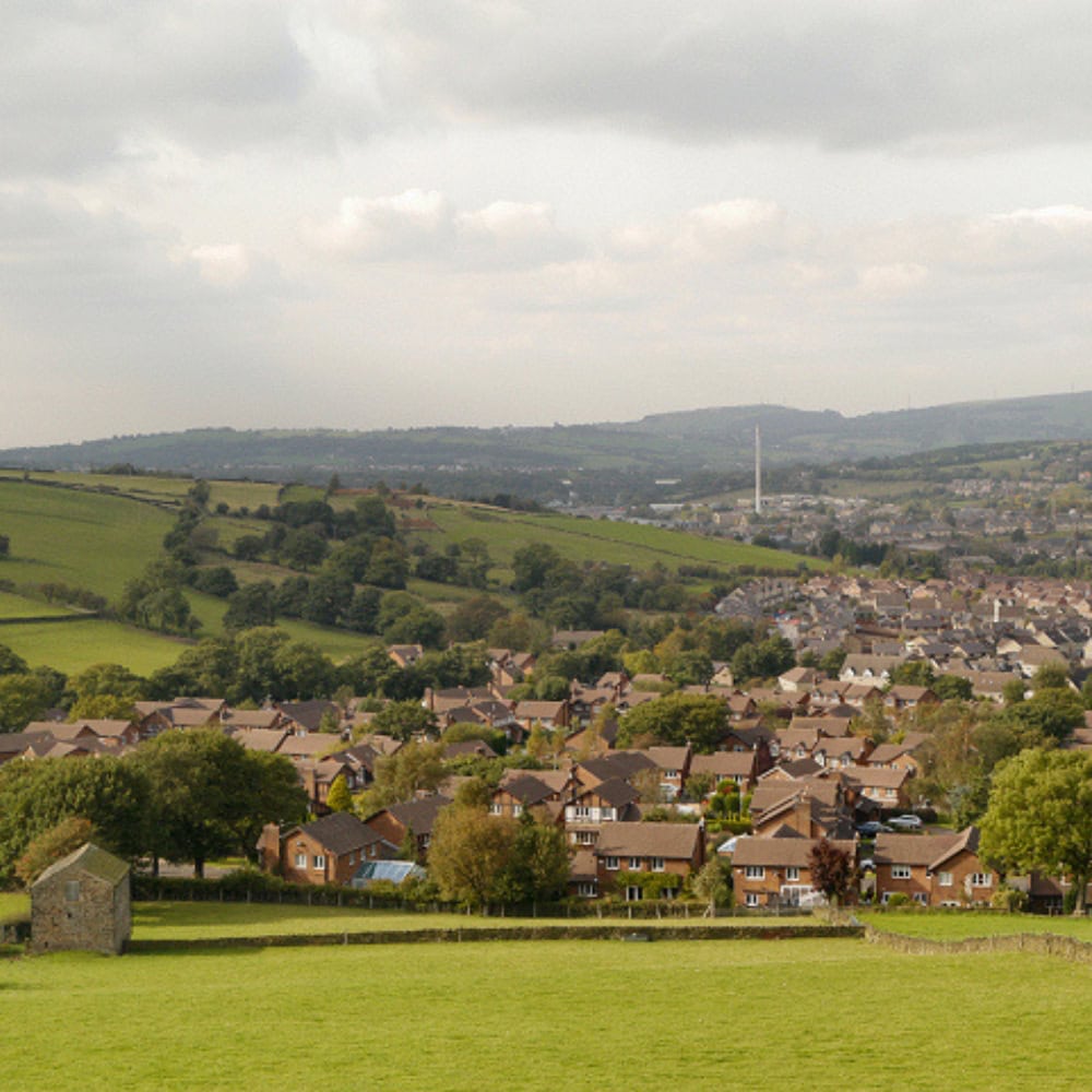 tree stump removal glossop for hillside gardens