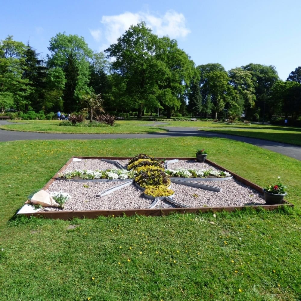 tree stump removal hyde for terraced yards