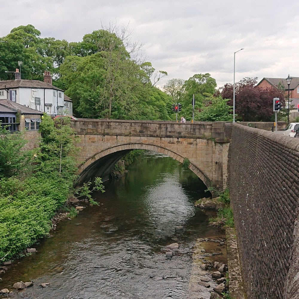 tree stump removal marple bridge for steep gardens