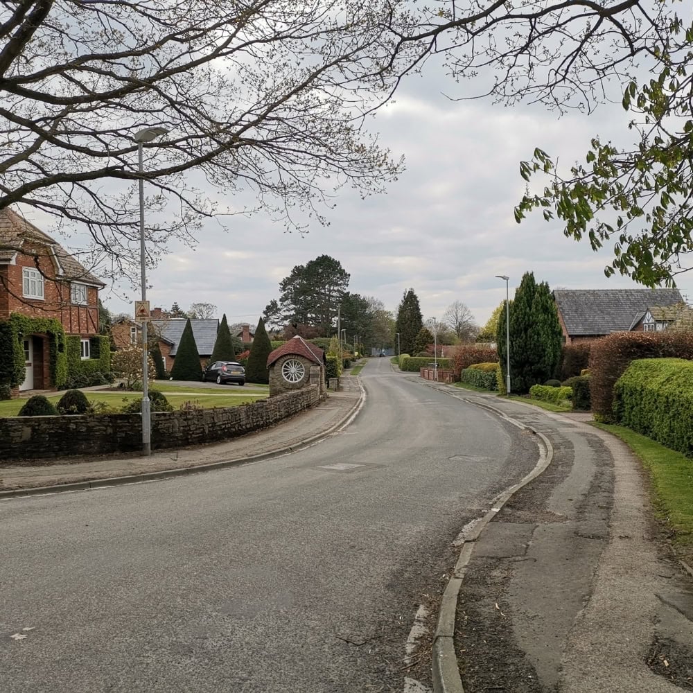 tree stump removal poyton for mature gardens