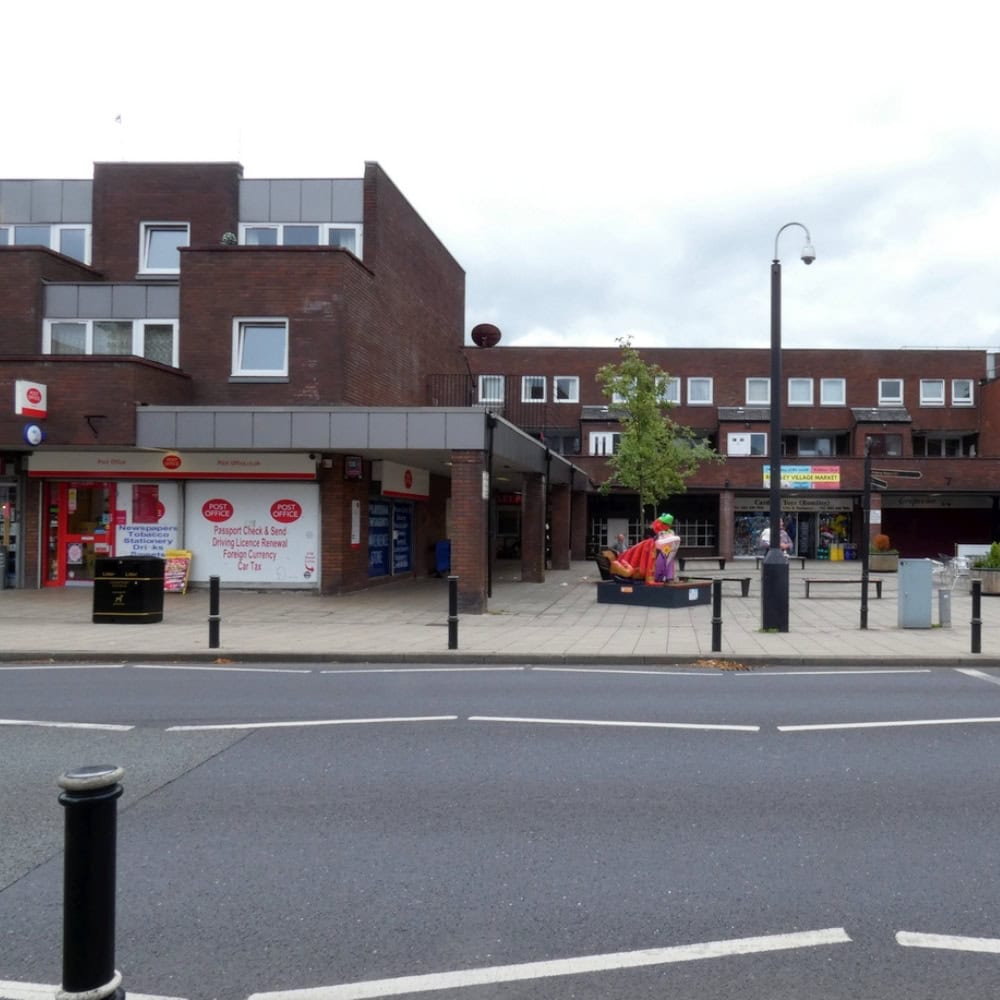 tree stump removal romiley for suburban gardens
