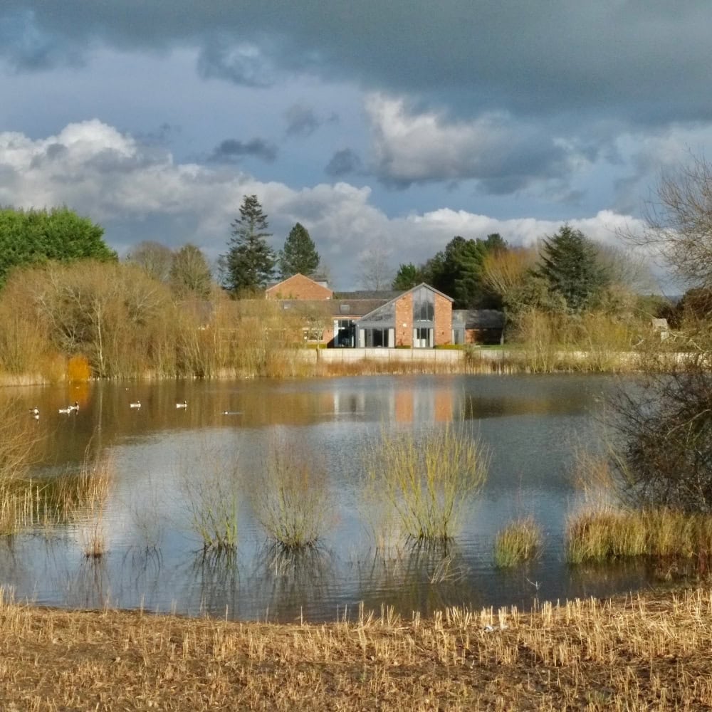 tree stump removal wilmslow for mature gardens