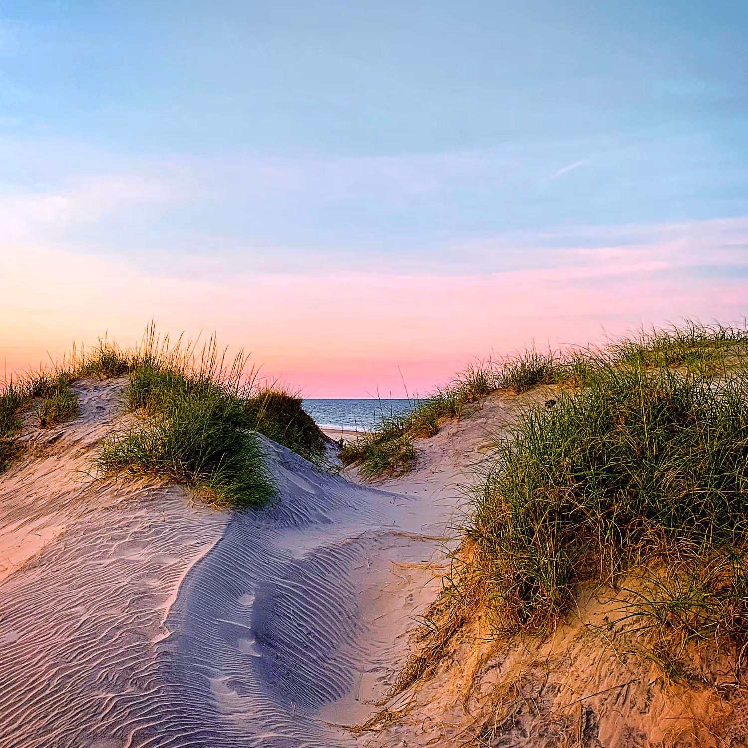 Sandy dunes with green grass leading to a calm ocean under a pastel sunset sky.