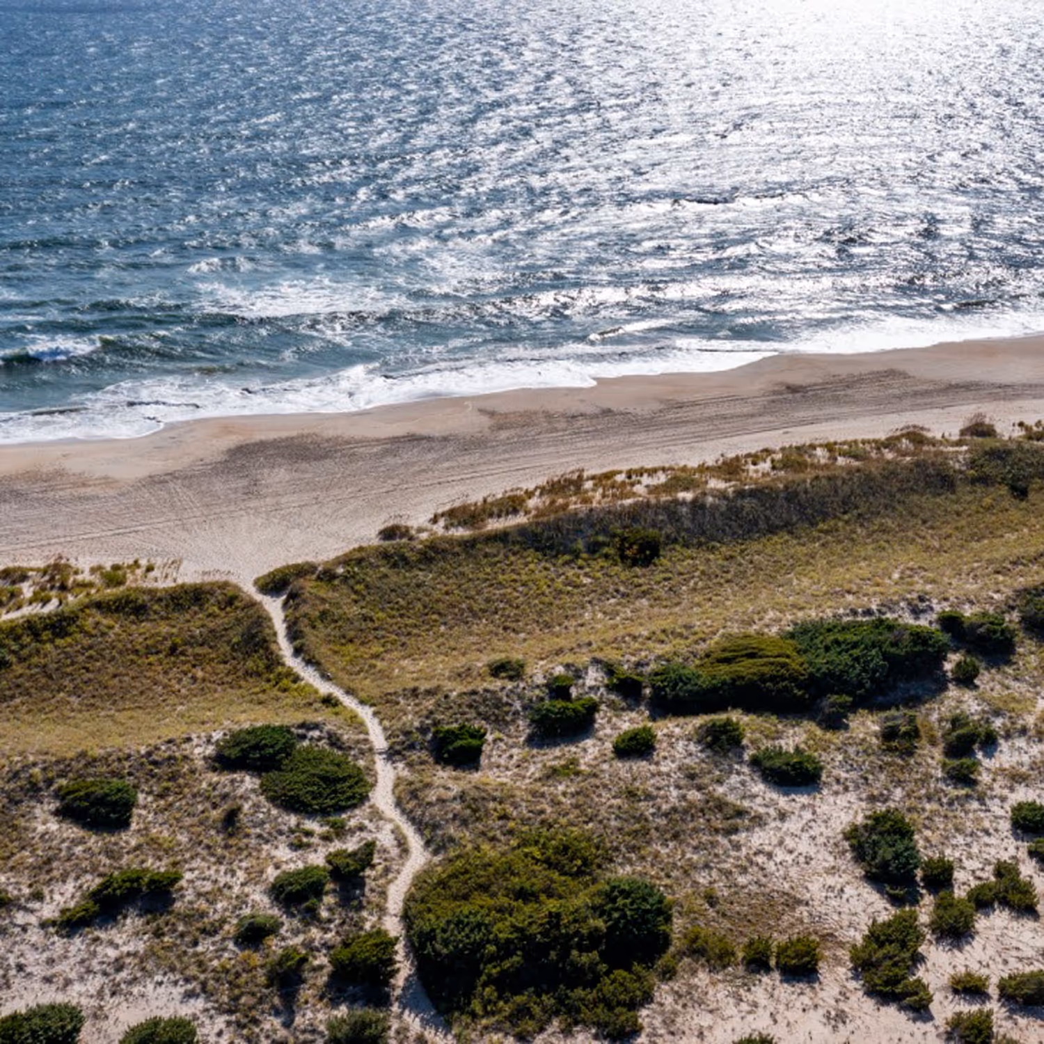 Aerial view of a sandy beach with ocean waves, a narrow path leading through grassy dunes toward the shoreline.