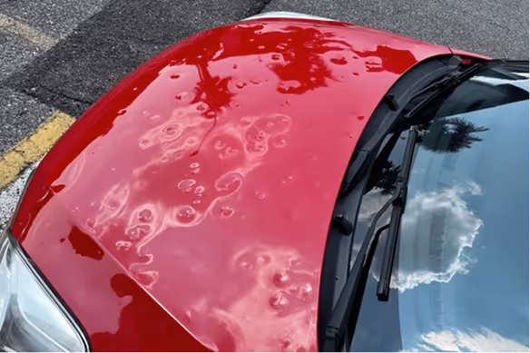 Close-up of a red car hood with numerous visible dents and reflections of nearby trees and sky.