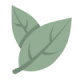 An image of 2 leaves for the Logo