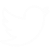 Twitter Icon