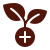 Herbal Medicine Icon