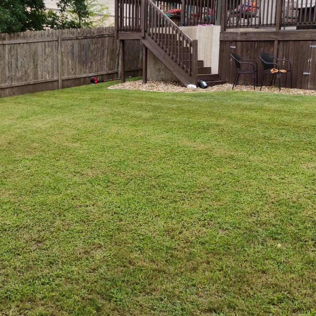 Clean, trimmed backyard lawn after mowing service