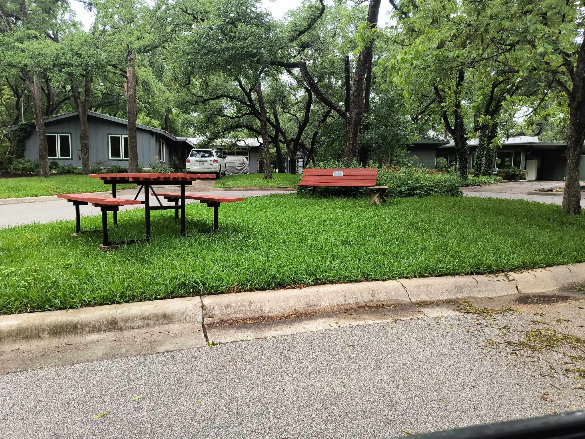 Professional yard cleanup