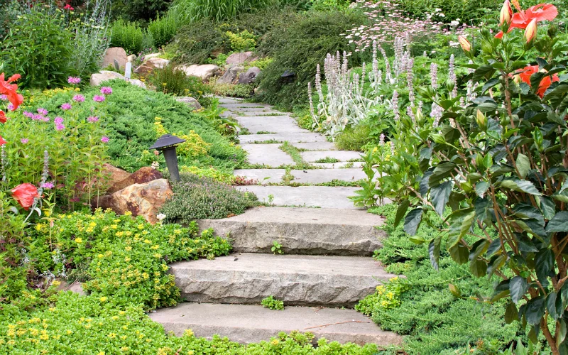 Low-maintenance garden design with drought-tolerant plants in Austin