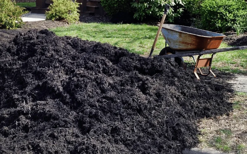 Fresh mulch installation in Thousand Oaks garden beds by Jessie Flores Landscape Co.