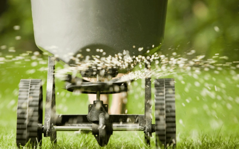 Lawn fertilizer application in Thousand Oaks keeping grass green by Jessie Flores Landscape Co.