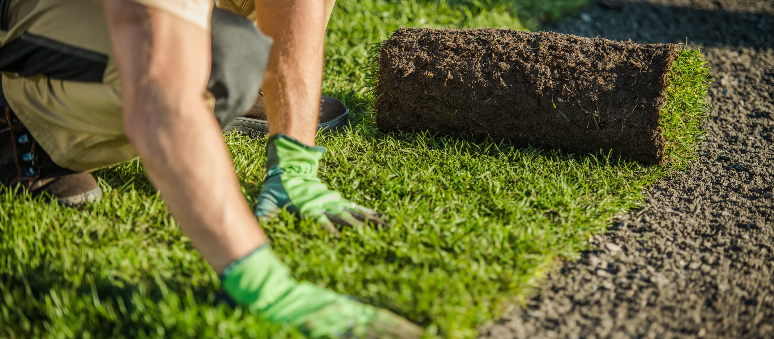 Landscape Installation