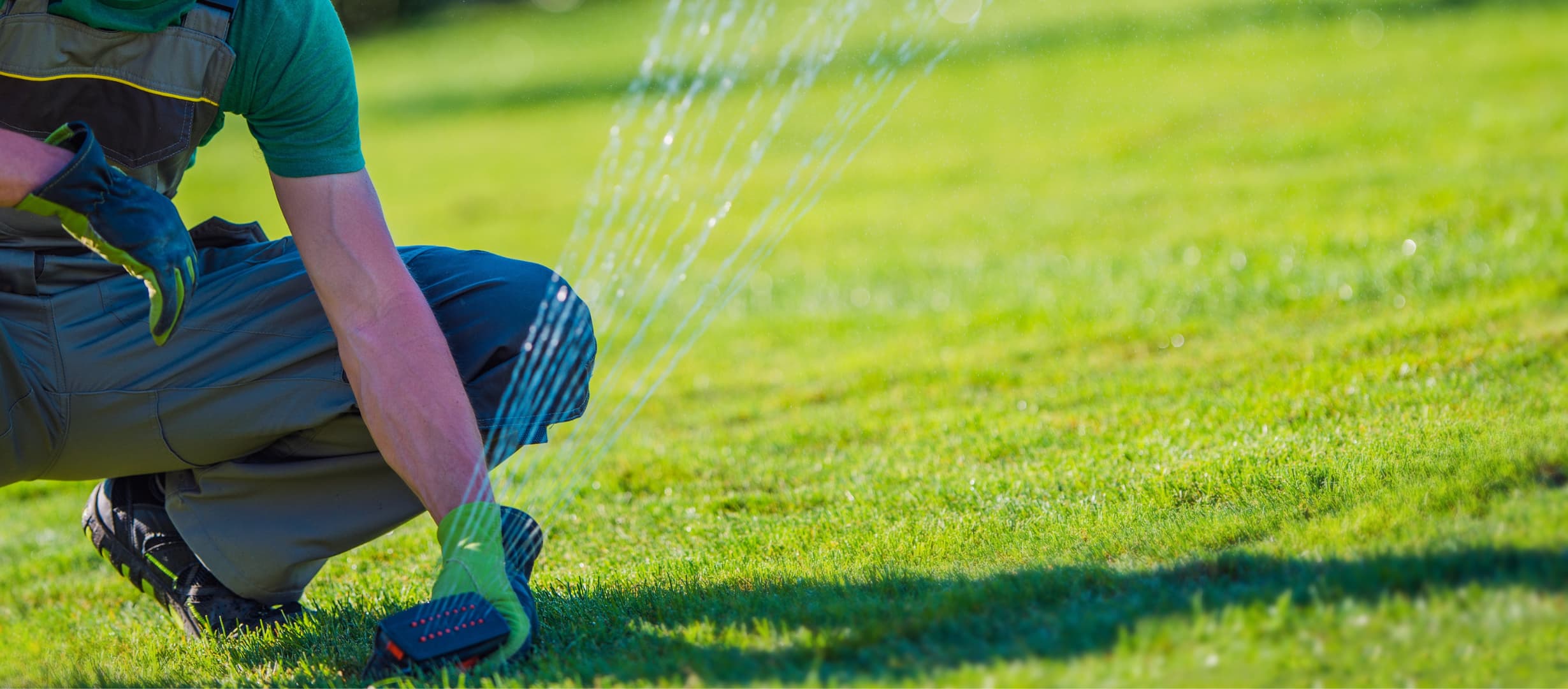 Backyard Drainage Systems