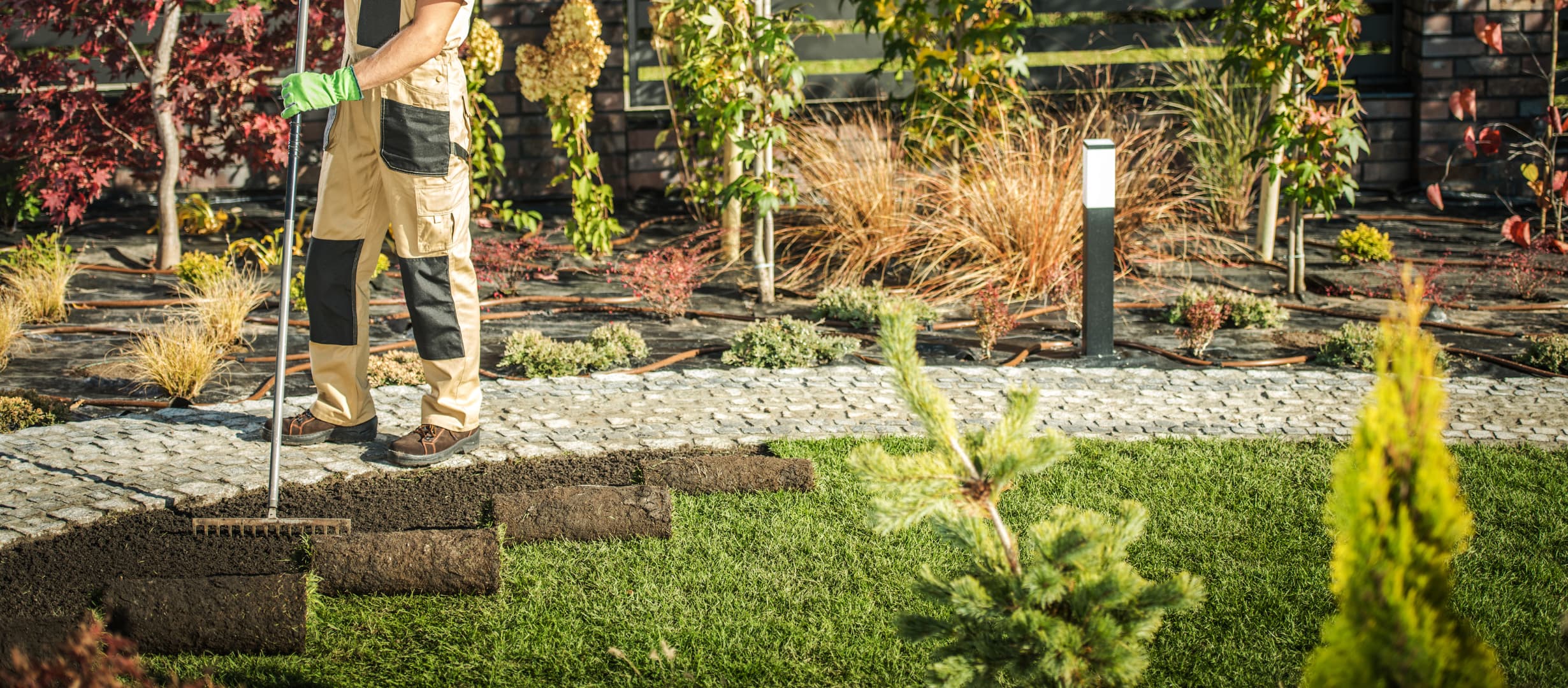 Grass Seeding & Sod Installation