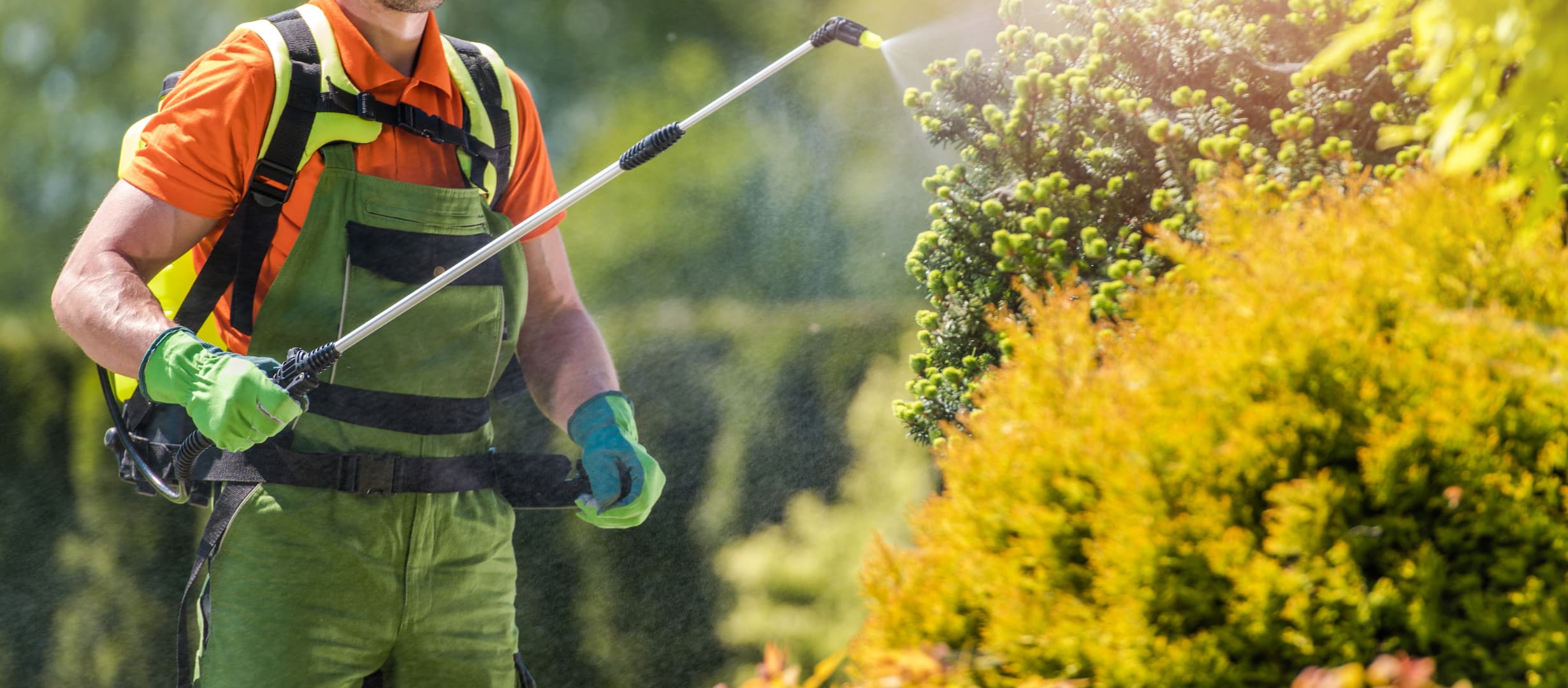 Lawn Fertilizer Application