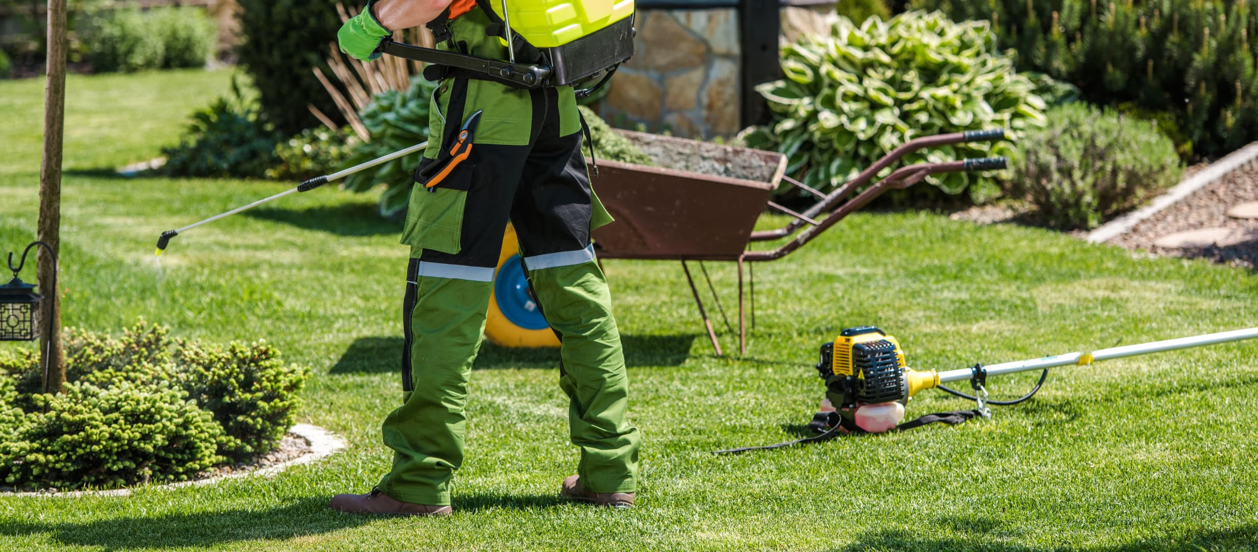 Weed & Grass Control