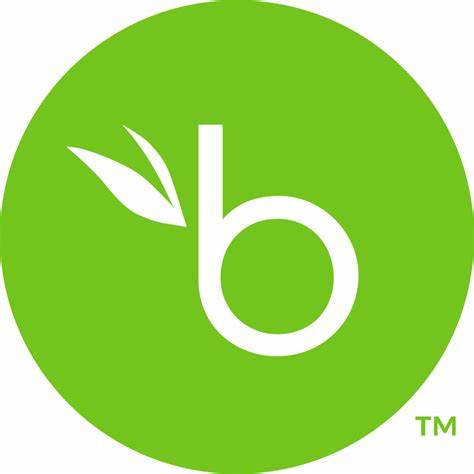 Brnad Logo