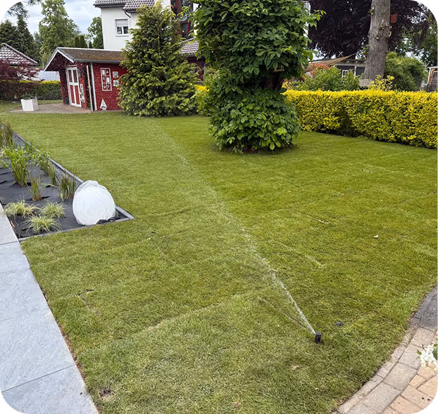 Rasensprenger bewässert einen gepflegten grünen Garten mit Büschen und einem kleinen roten Gartenhaus im Hintergrund.