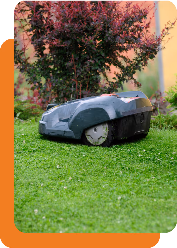 Roboter-Rasenmäher schneidet grünen Rasen vor einem Strauch mit roten Blättern.