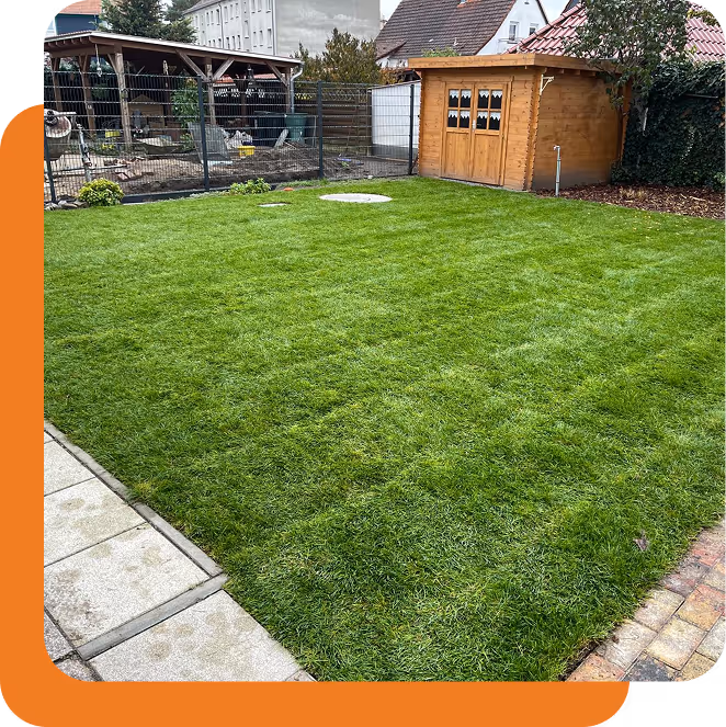 Grüner, frisch gemähter Gartenrasen mit hölzernem Geräteschuppen und umzäuntem Bereich im Hintergrund.