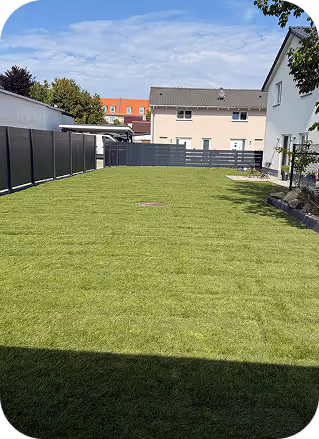 Gepflegter grüner Rasen in einem umzäunten, sonnigen Hinterhof mit Häusern im Hintergrund.