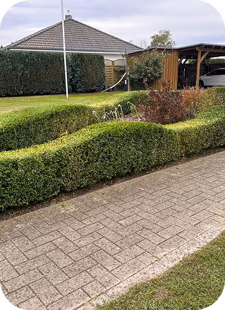 Garten mit gepflegtem grünen Rasenteppich, dekorativ geschnittenen Hecken, einem gepflasterten Weg und einem Holzcarport neben einem Haus mit Flachdach.