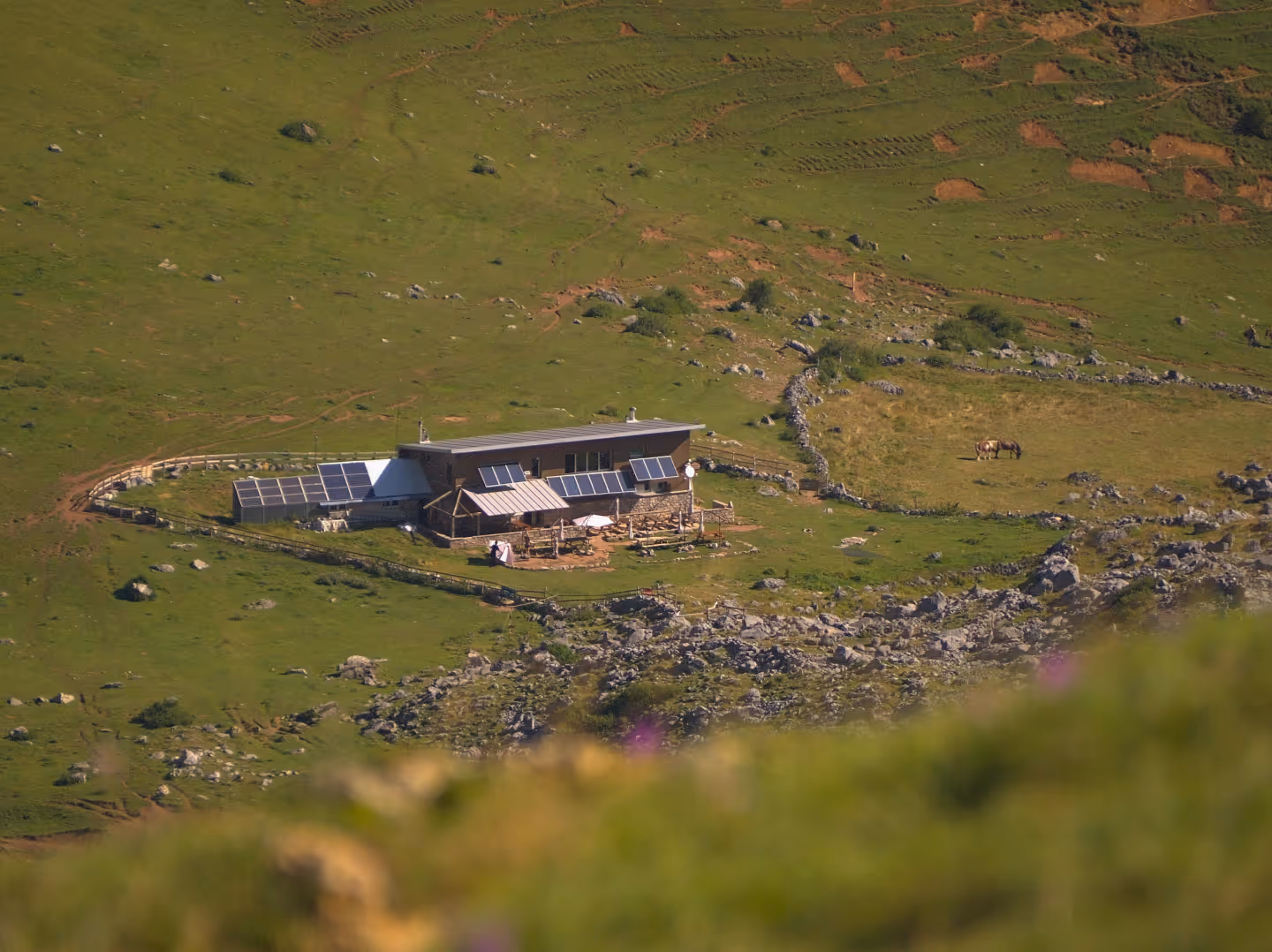 Berghütte mit Solarpaneelen auf grüner Almwiese mit verwittertem Steinwall und Pferd.