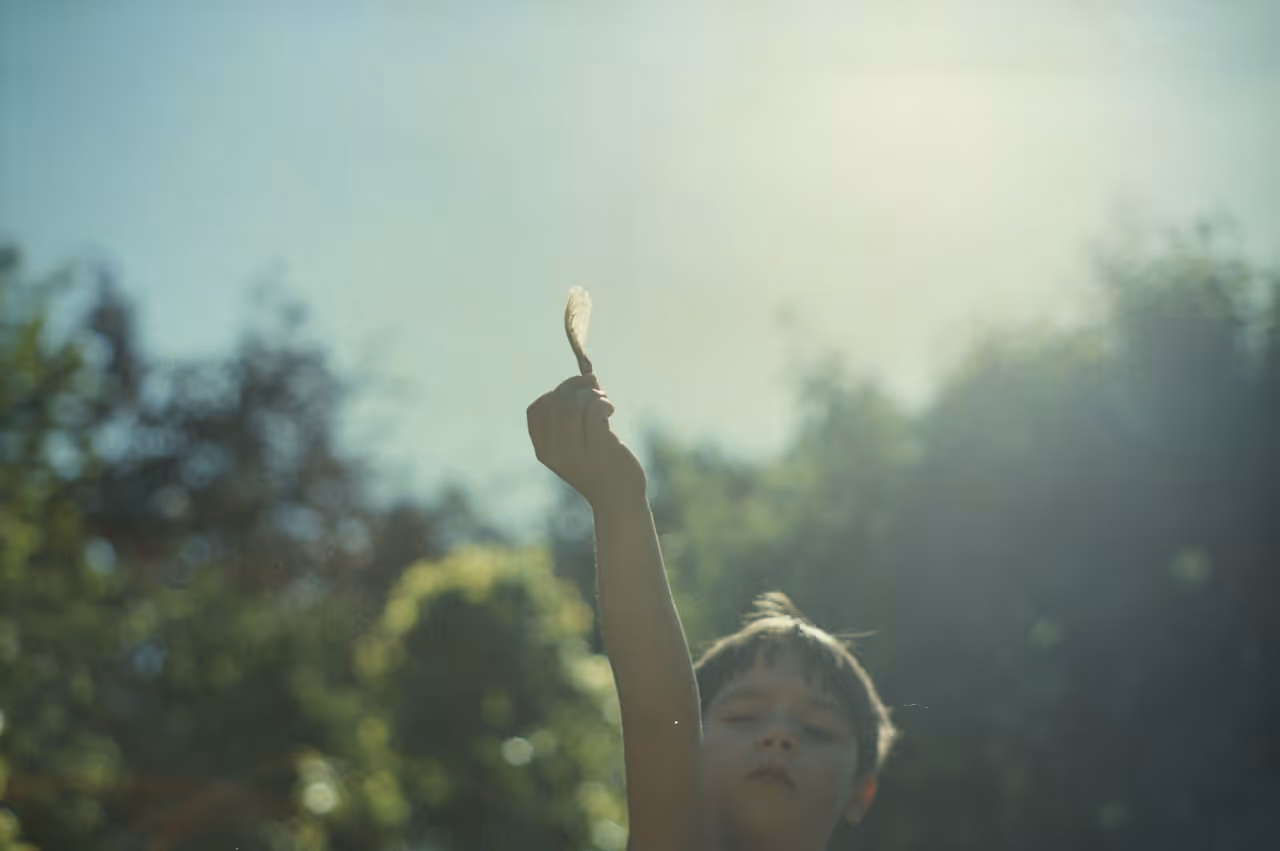Kind hebt im Sonnenschein mit verschwommenem Garten im Hintergrund einen herbstlichen Ahornsamen in die Luft.