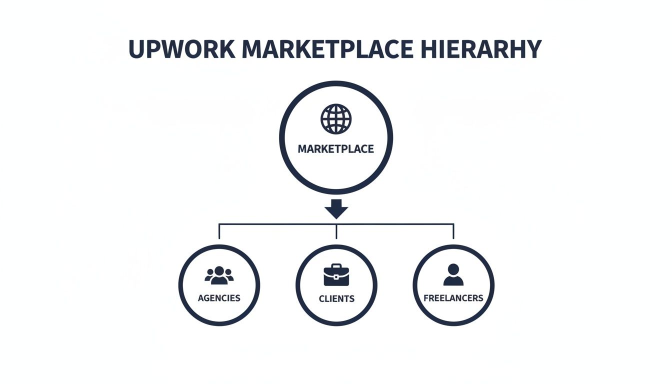 Hierarchy diagram illustrating the Upwork marketplace structure, showing marketplace, agencies, clients, and freelancers.