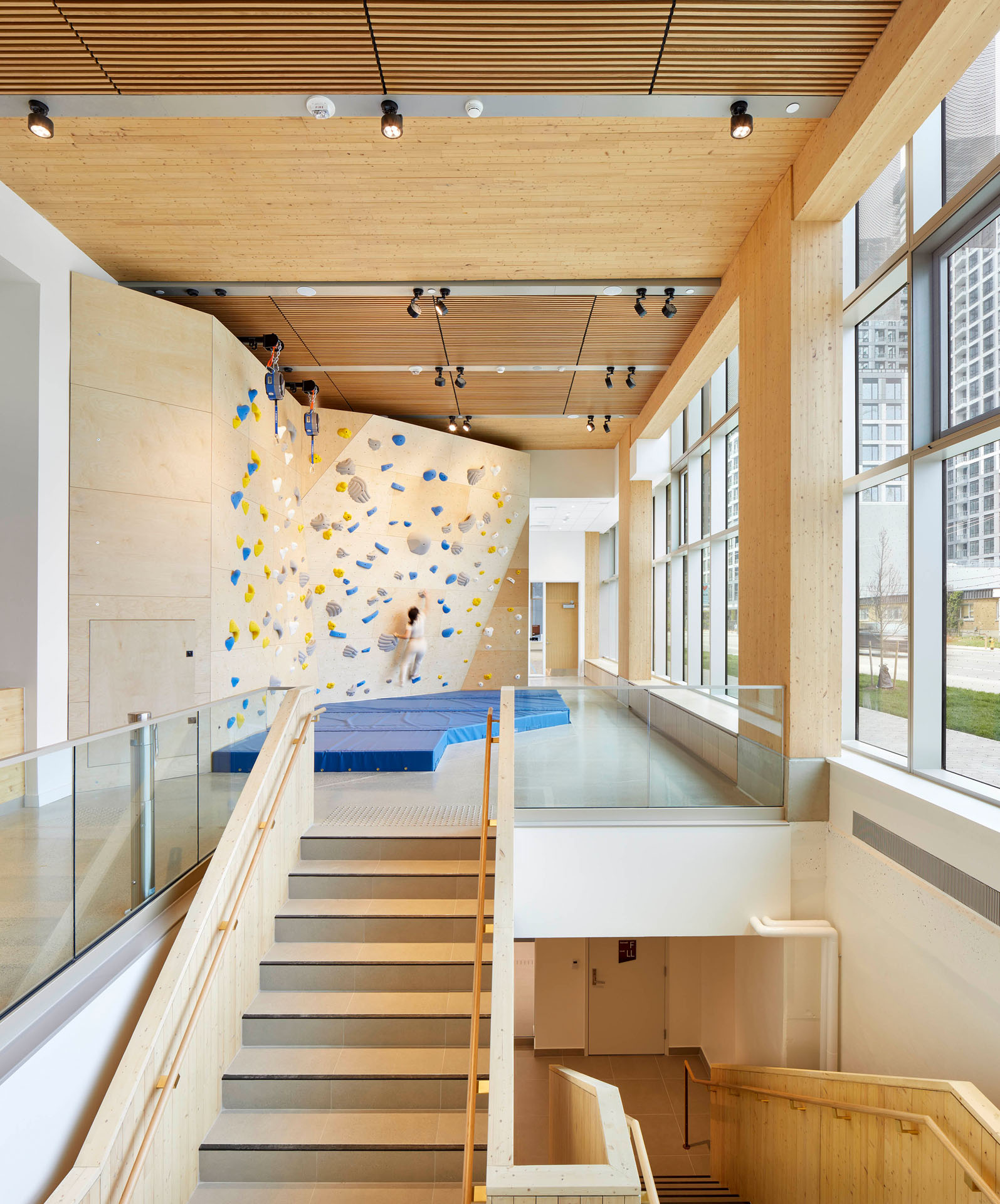 Interior view of a modern climbing gym with large wooden panels, blue and yellow climbing holds, padded floor, and large windows overlooking city buildings.