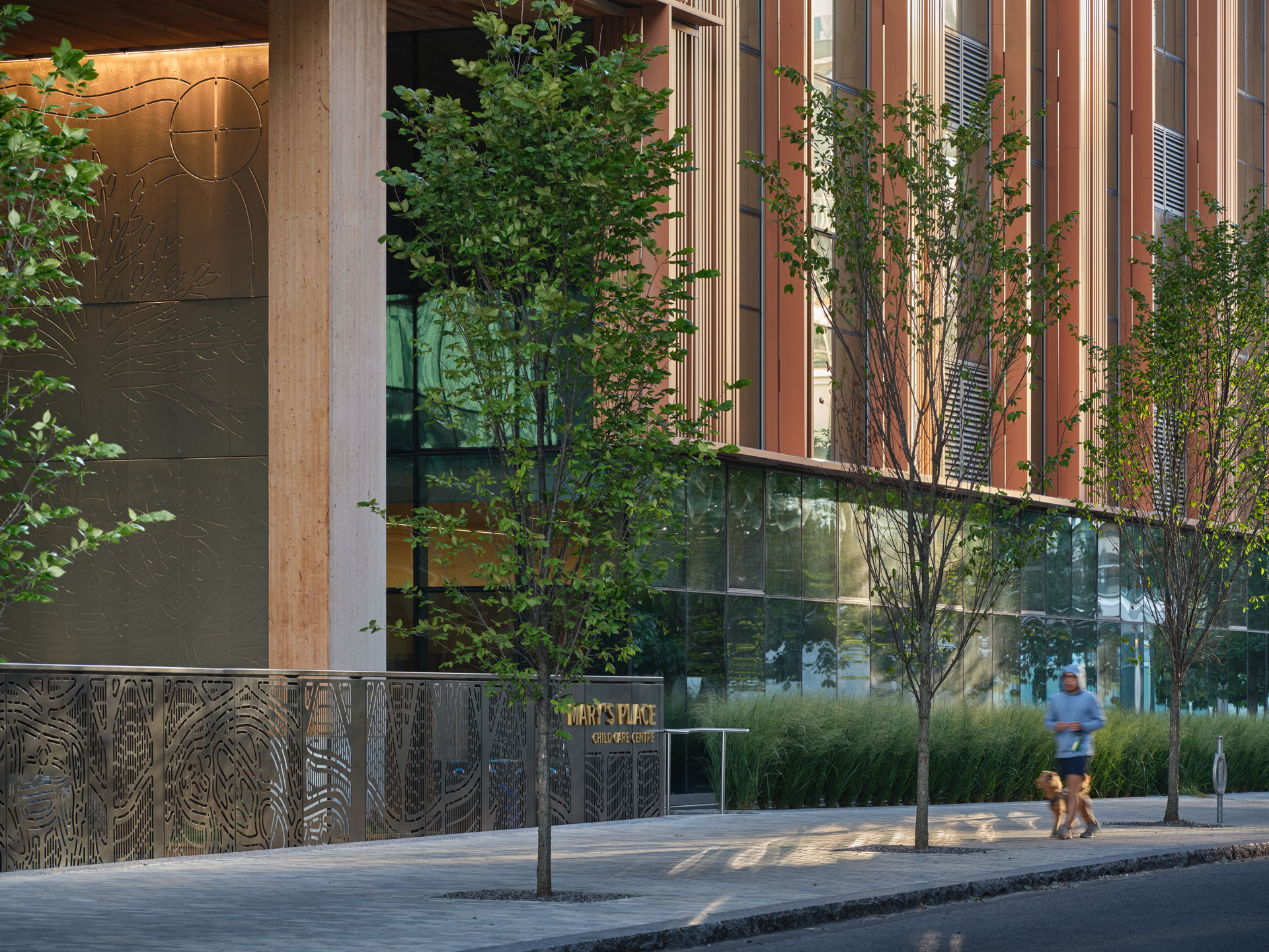 Urban sidewalk with young trees in front of a modern building featuring glass windows and decorative panels, and a person walking two dogs.
