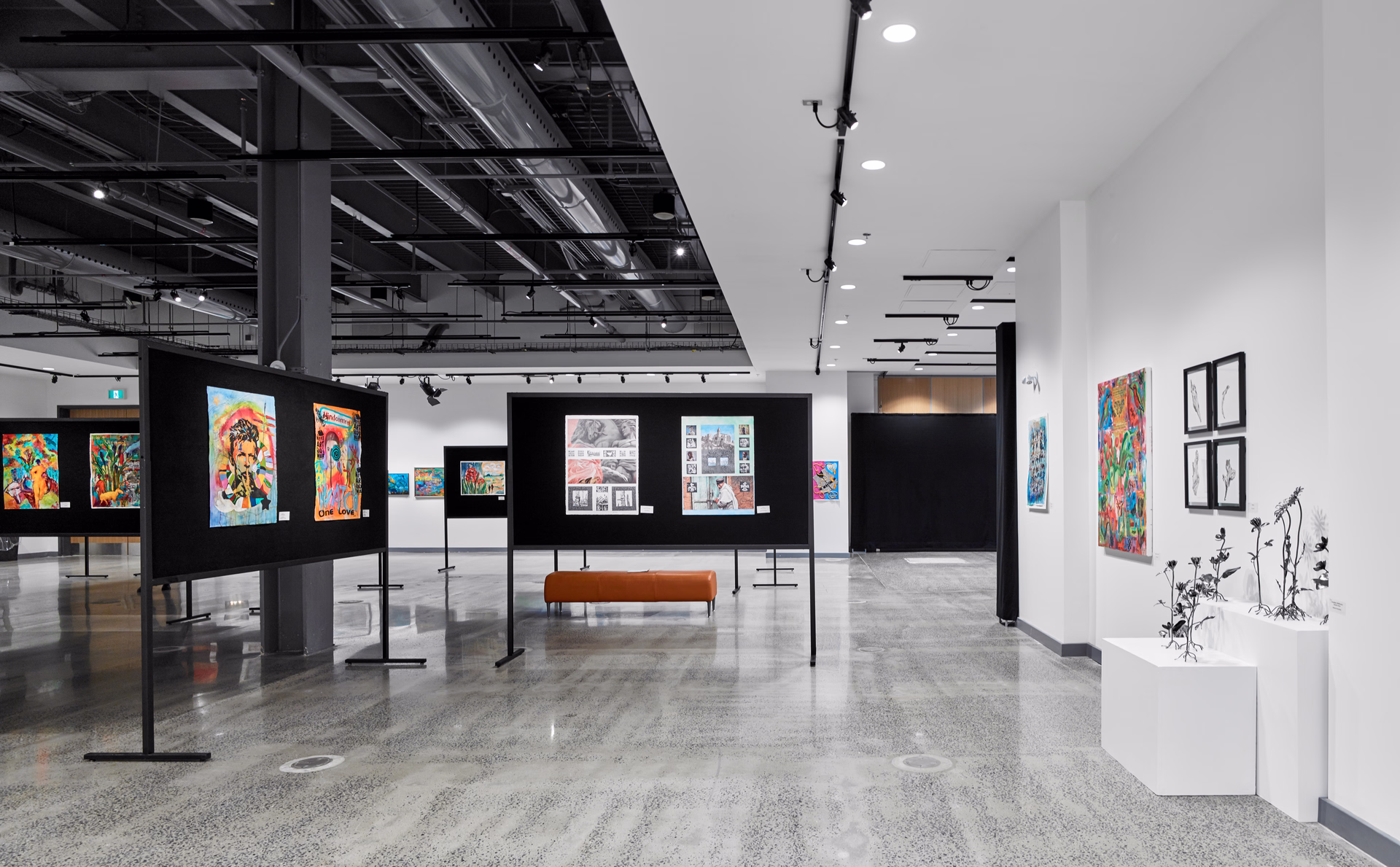 Modern art gallery interior with colorful paintings on black panels and white walls, and white pedestals displaying black floral sculptures.