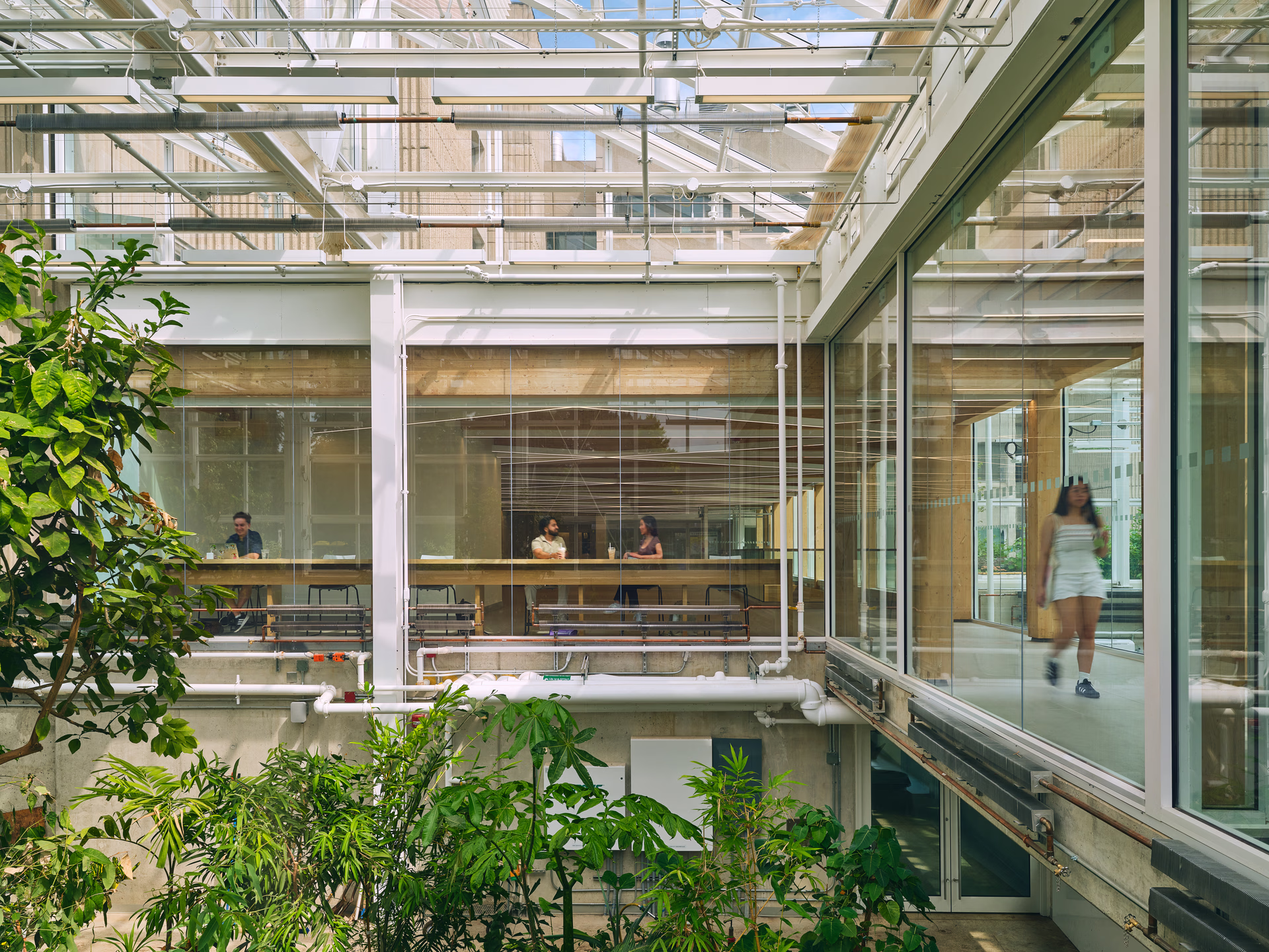 Modern office interior with large glass windows, abundant green plants, and people working and walking inside.